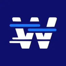 Wizebot logo